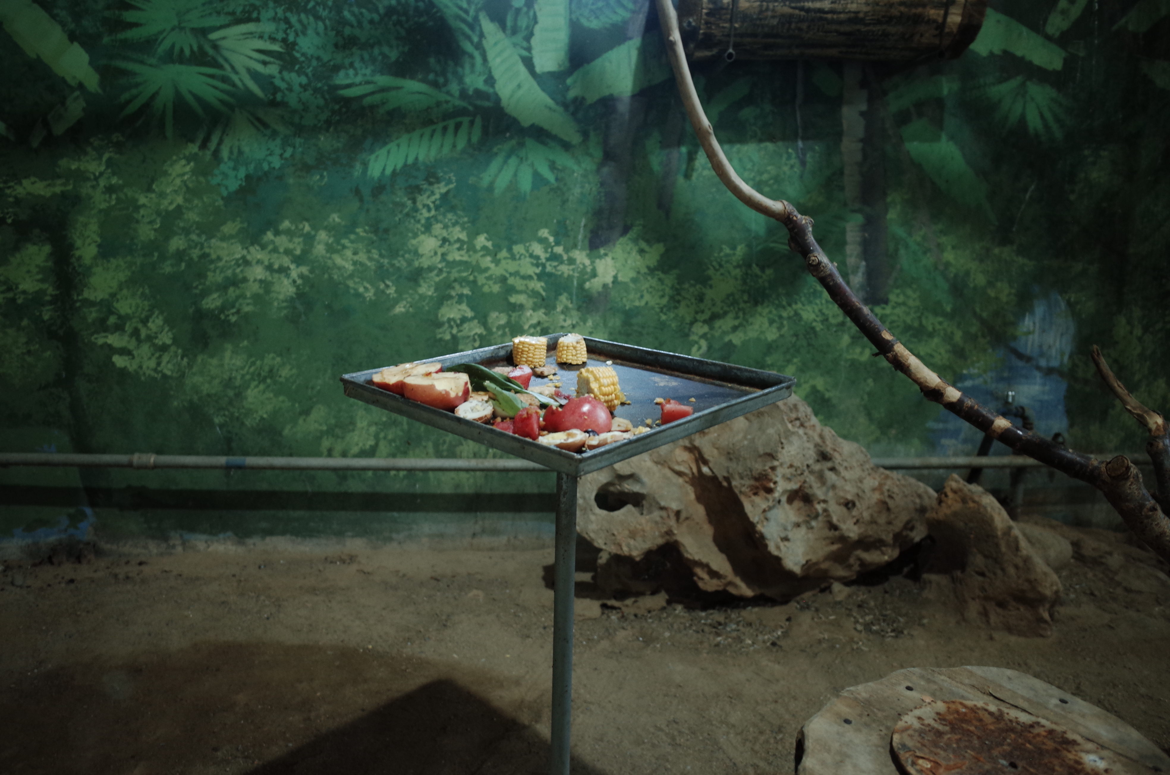 ④卒在展_ヤンレイ02.JPG